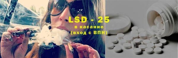шишки Балахна