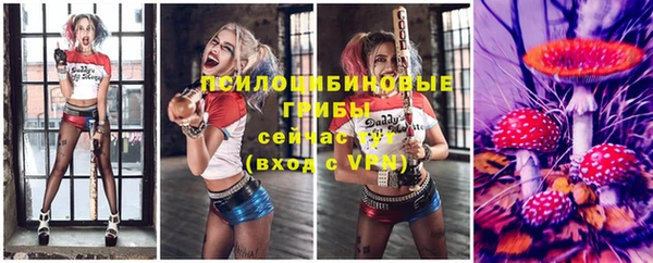 шишки Балахна