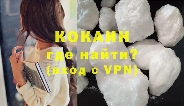 шишки Балахна