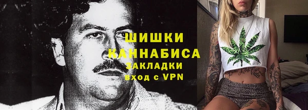 шишки Балахна
