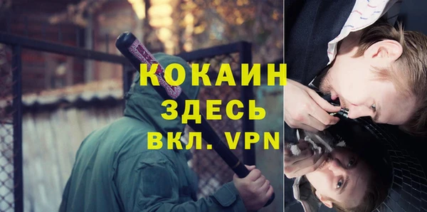 шишки Балахна