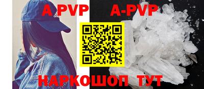 амф Сланцы