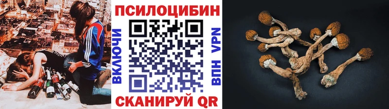 Галлюциногенные грибы MAGIC MUSHROOMS  Печора 
