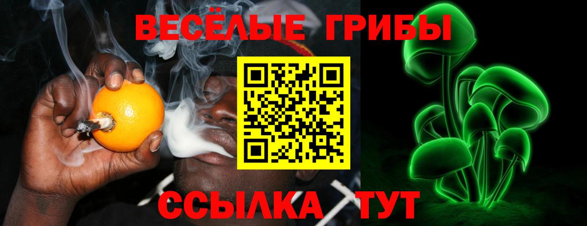 Галлюциногенные грибы GOLDEN TEACHER  Псилоцибиновые грибы мицелий  Печора  цена   Вход с VPN 